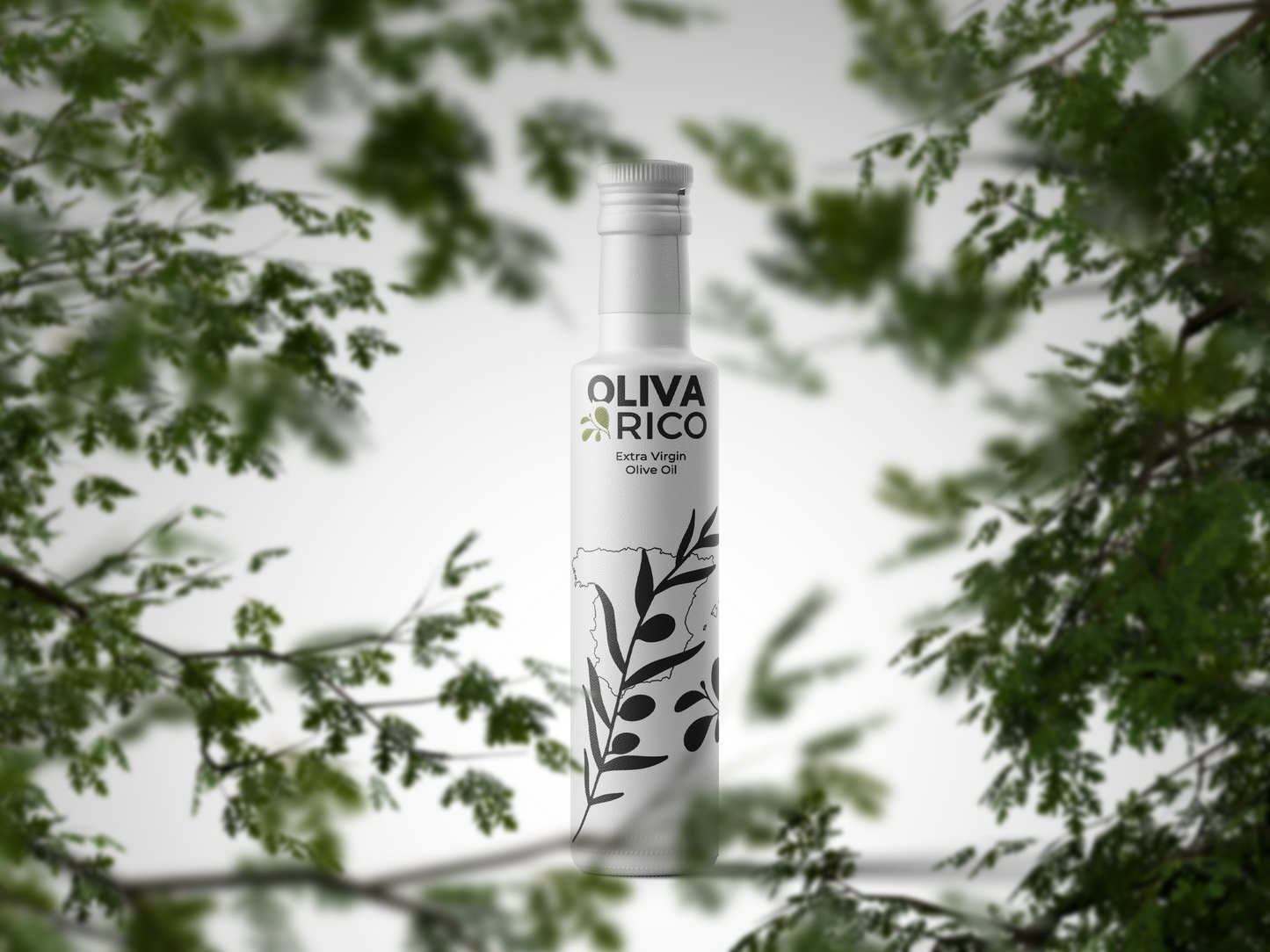OlivaRico_Header_Banner-1